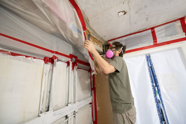 Mold Documentation for Insurance Claims in Laurel Hill, VA